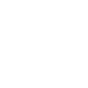 White logo that says Shannon